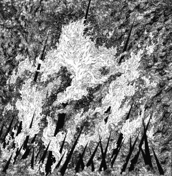 Vilkacis / Turia – Vilkacis / Turia Vinyl